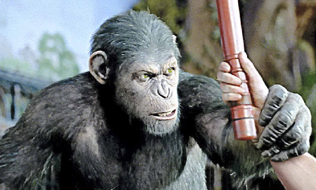 RUNNING WILD: The Rise of the Planet of the Apes is screening at the Sovereign Cinema.