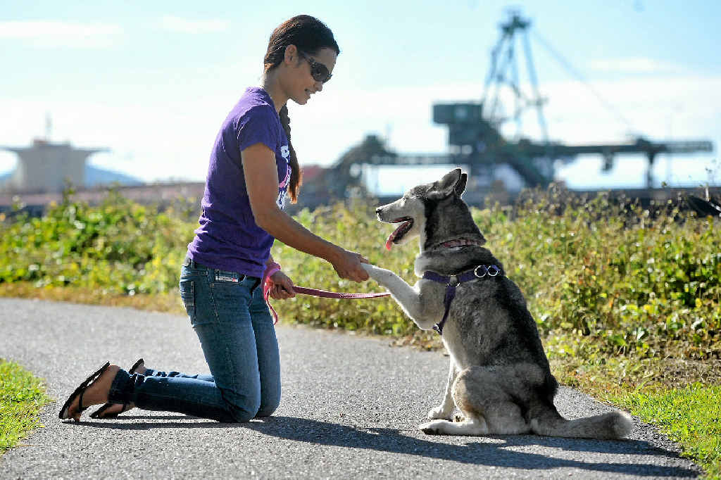 ON THE MEND: Kristal Robinson says Misty is recovering well after being rescued. ON THE MEND: Kristal Robinson says Misty is recovering well after being rescued.