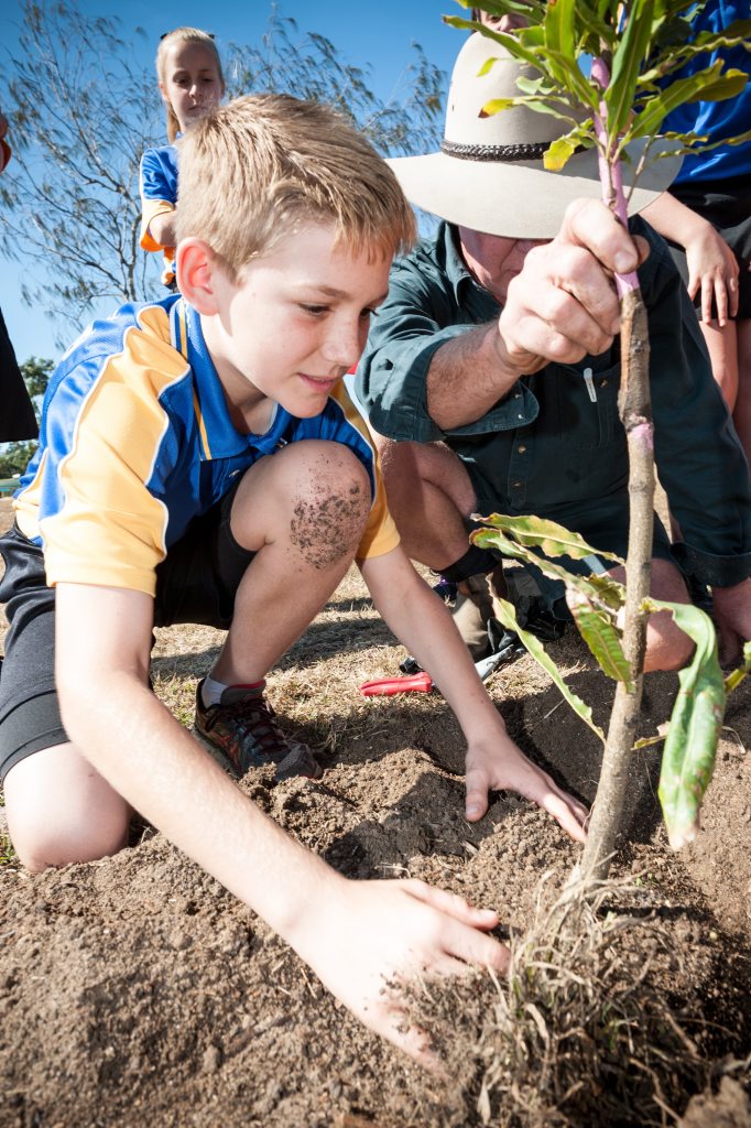 Kalkie State School, Ray Norris & student Duncan Allen yr6 plant a Macadamia tree to celebrate 40yrs of production in Australia. Photo Paul Beutel Kalkie State School, Ray Norris & student Duncan Allen yr6 plant a Macadamia tree to celebrate 40yrs of production in Australia. Photo Paul Beutel