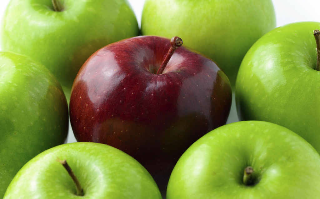 APPLES WITH APPLES: The big supermarkets don’t always offer the lowest produce prices. APPLES WITH APPLES: The big supermarkets don’t always offer the lowest produce prices.