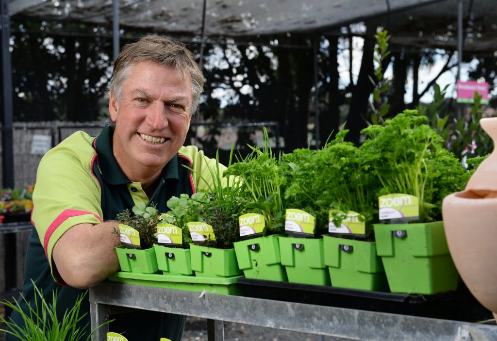 SERVICE ORIENTED: Plants Plus Ipswich owner Brad Riches, in a growing business. SERVICE ORIENTED: Plants Plus Ipswich owner Brad Riches, in a growing business.