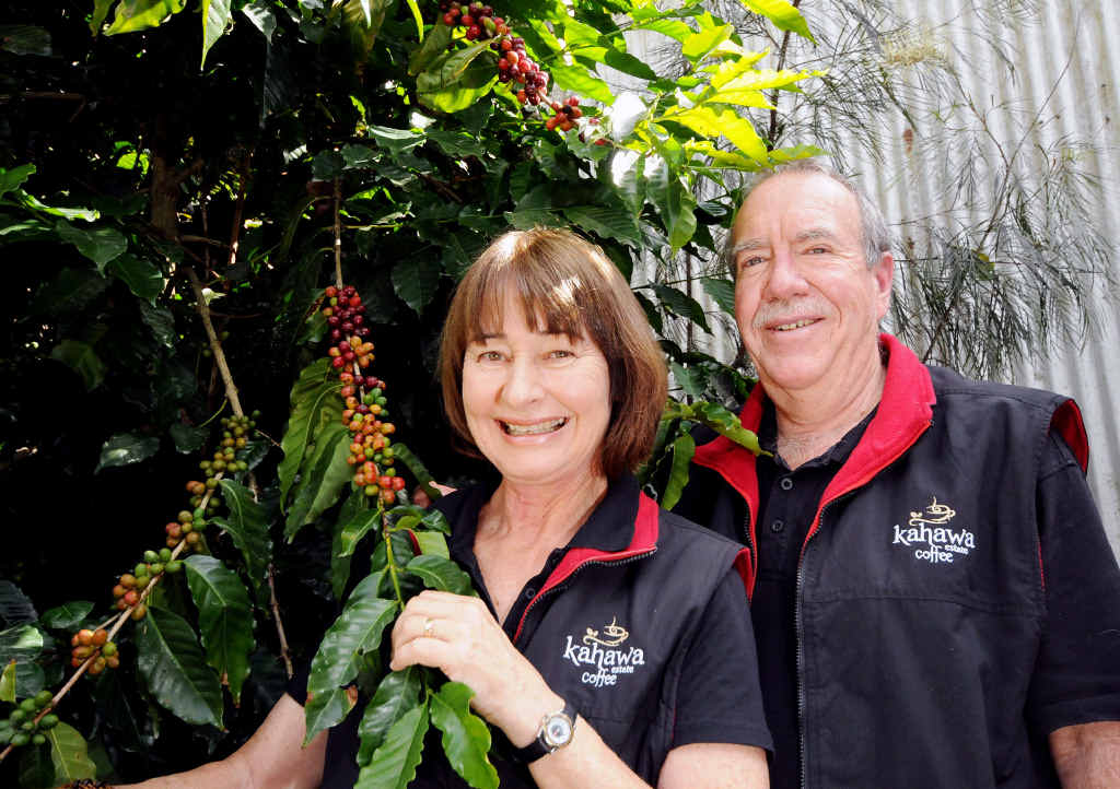 CREAM OF THE CROP: Wendy and Jos Webber of Kahawa Estate Coffee have been awarded a gold medal for their Magna roast and two bronze medals in the Plunger Single and Cappuccino classes at the Royal Hobart Fine Food Awards. CREAM OF THE CROP: Wendy and Jos Webber of Kahawa Estate Coffee have been awarded a gold medal for their Magna roast and two bronze medals in the Plunger Single and Cappuccino classes at the Royal Hobart Fine Food Awards.