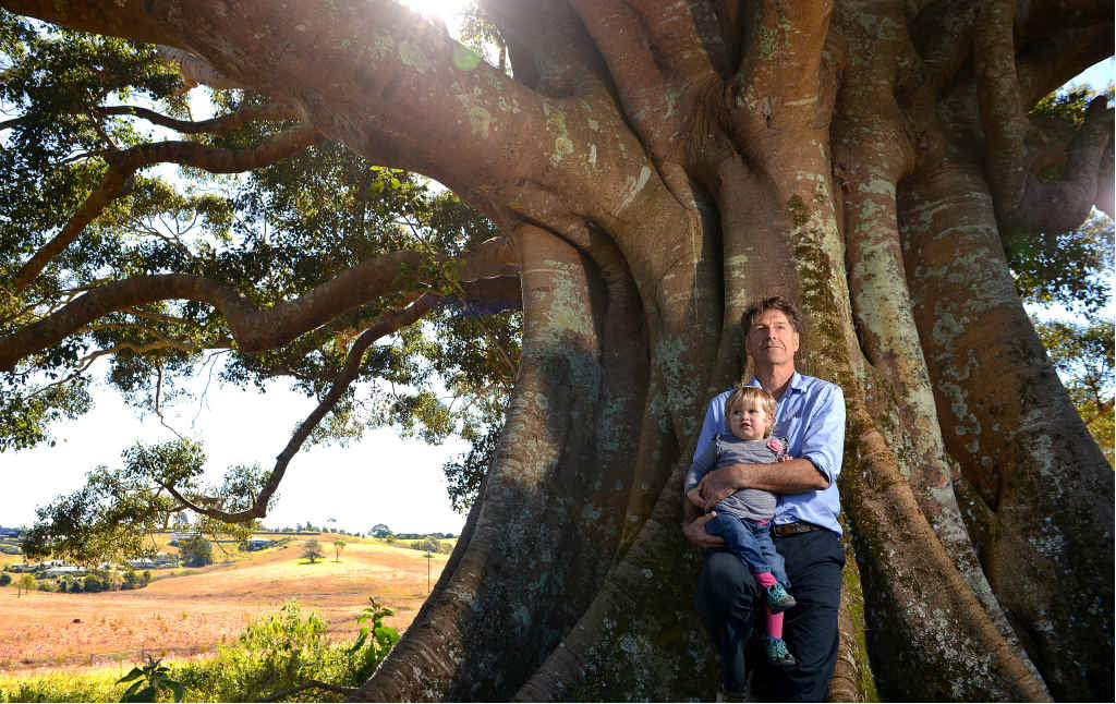 WAITING GAME: Steven Lang and his granddaughter Helen on the site of the revegetation project in Maleny. WAITING GAME: Steven Lang and his granddaughter Helen on the site of the revegetation project in Maleny.