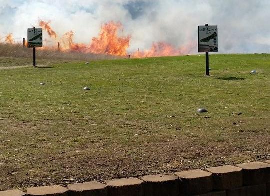 Sometimes Australian nature doesn't want you to play a round of golf Sometimes Australian nature doesn't want you to play a round of golf