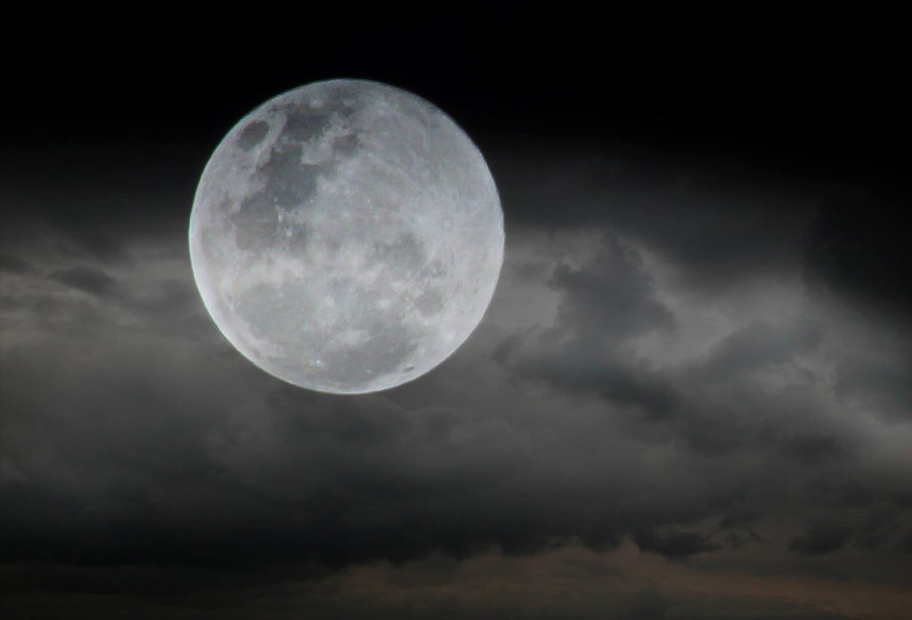 Christine Lowrie's super moon photo taken in Bundaberg. Photo Contributed Christine Lowrie's super moon photo taken in Bundaberg. Photo Contributed