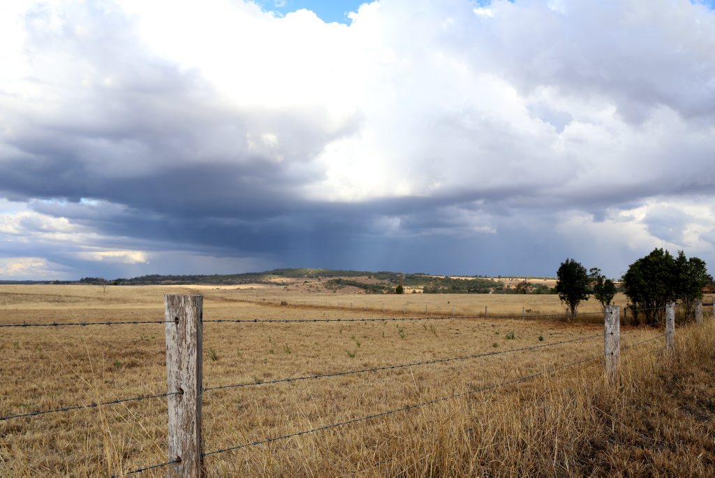 South-east to score welcome rain while rest of state will have barely a drizzle South-east to score welcome rain while rest of state will have barely a drizzle