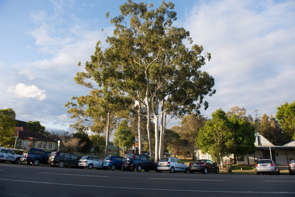 Construction of a Duke St extension through Pioneer Park is due to begin by the end of the month. Construction of a Duke St extension through Pioneer Park is due to begin by the end of the month.