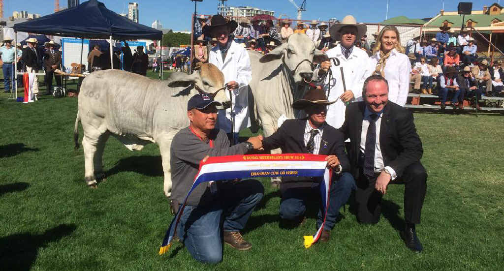 BIG BUCKS: Simon Kinbacher, Ross and Natalie Olive, Prasert Akarasirikanchana from Torch Thai Farming Corporation, judge Stewart Wallace and Agriculture Minister Barnaby Joyce enjoy another win at Brisbane’s Ekka with Olive Lady Adelaide. BIG BUCKS: Simon Kinbacher, Ross and Natalie Olive, Prasert Akarasirikanchana from Torch Thai Farming Corporation, judge Stewart Wallace and Agriculture Minister Barnaby Joyce enjoy another win at Brisbane’s Ekka with Olive Lady Adelaide.