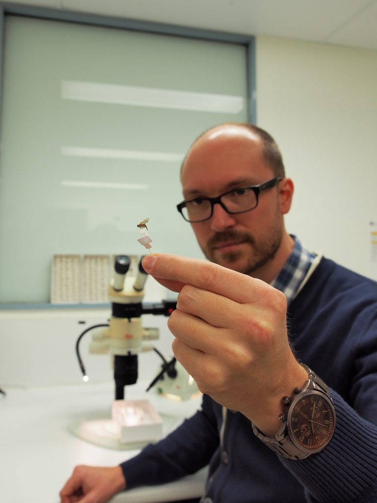 Queensland scientist Dr Mark Schutze will work with the Smithsonian National Museum of Natural History in Washington to learn about fruit flies. Picture: Supplied Queensland scientist Dr Mark Schutze will work with the Smithsonian National Museum of Natural History in Washington to learn about fruit flies. Picture: Supplied