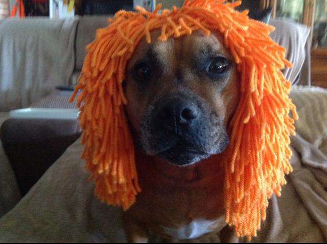 Lyn Keetch's 12th photo was of her dog Rosie. Lyn Keetch's 12th photo was of her dog Rosie.