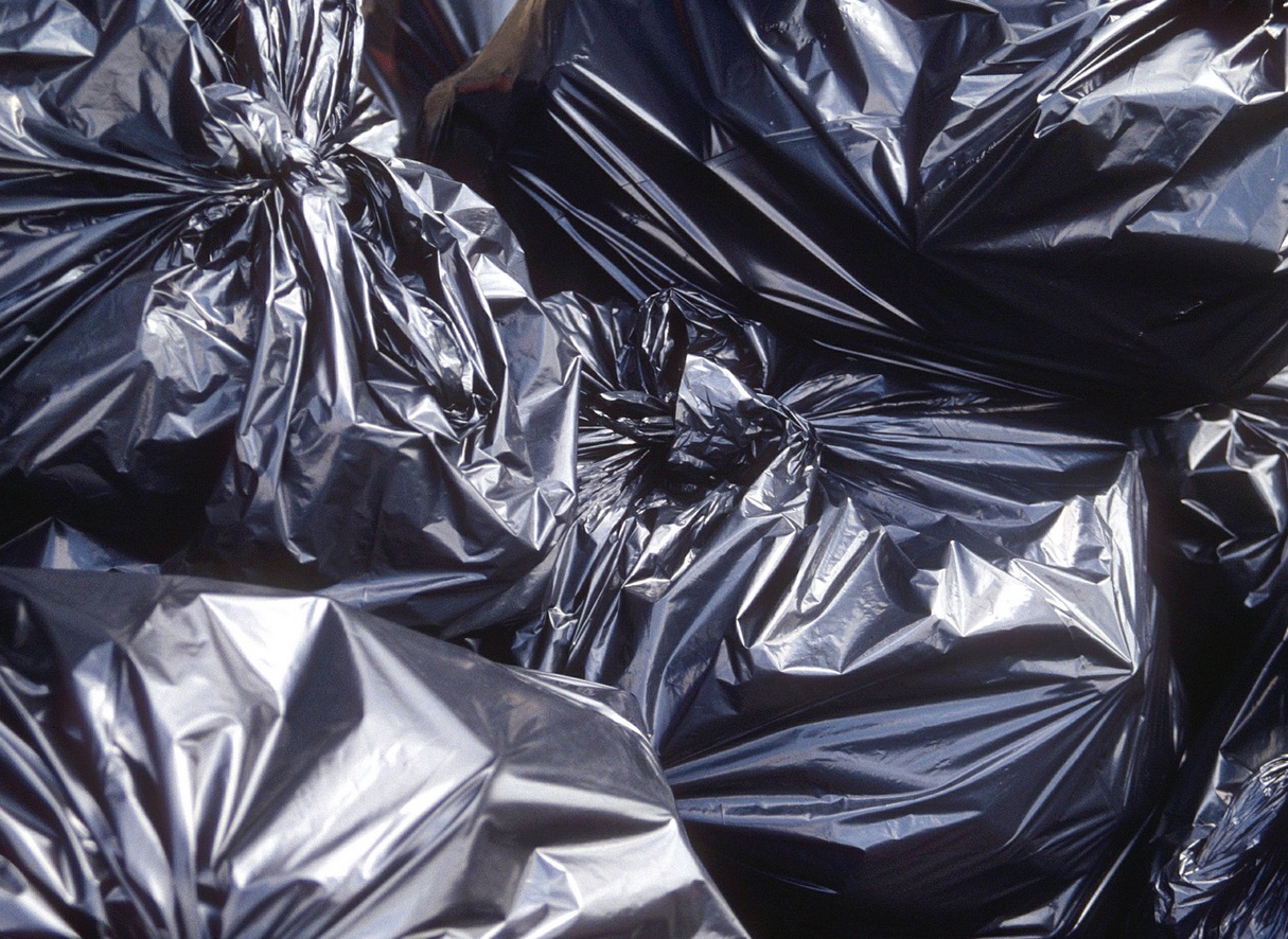 COUNCIL workers shocked to find garbage bag filled with severed cats' heads near restaurant district COUNCIL workers shocked to find garbage bag filled with severed cats' heads near restaurant district