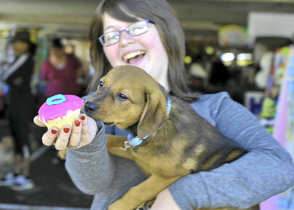 LITTLE CHAMP: Leona Ebert, 13, tempts this cute and active pocket rocket Serena with a cupcake. LITTLE CHAMP: Leona Ebert, 13, tempts this cute and active pocket rocket Serena with a cupcake.