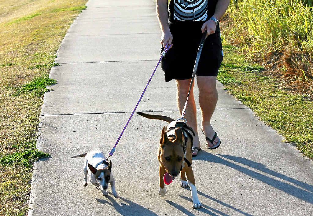 Can we achieve the right balance between playgrounds and dog parks?