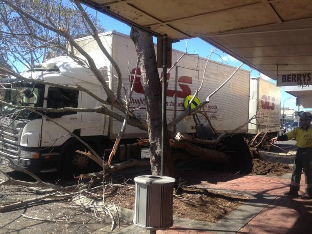 A semitrailer has hit a tree in Maryborough's Ellena St on Tuesday morning. A semitrailer has hit a tree in Maryborough's Ellena St on Tuesday morning.