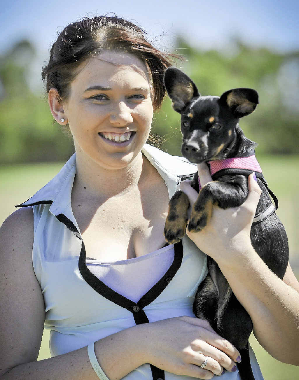 BEST FRIENDS: Melissa Dent and her 14-week-old dachshund cross maltese terrier Abbie have quickly become best friends. BEST FRIENDS: Melissa Dent and her 14-week-old dachshund cross maltese terrier Abbie have quickly become best friends.