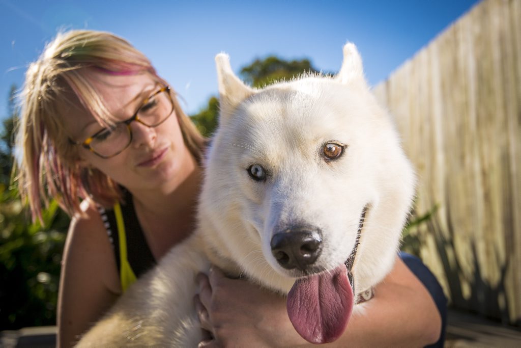 Image for sale: Chloe Sawyer is over the moon that her husky Hunter survived a 38m drop down an abandoned mine shaft.