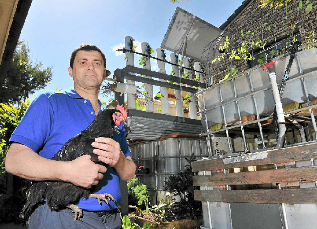 READY TO EAT: Simon Hartley of Goonellabah will open his home to the public as part of Sustainable House Day. READY TO EAT: Simon Hartley of Goonellabah will open his home to the public as part of Sustainable House Day.