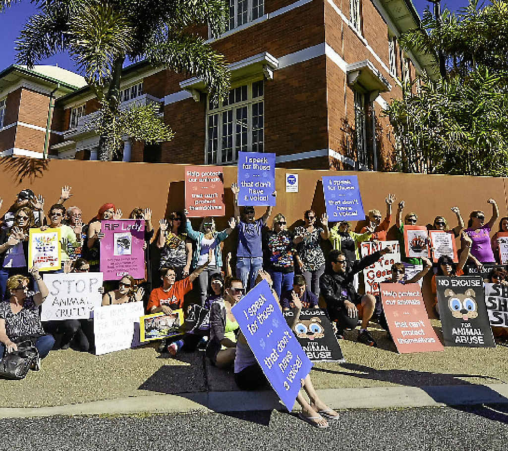 SPEAKING FOR ANIMALS: Animal rights protesters at Gladstone Magistrates Court. SPEAKING FOR ANIMALS: Animal rights protesters at Gladstone Magistrates Court.