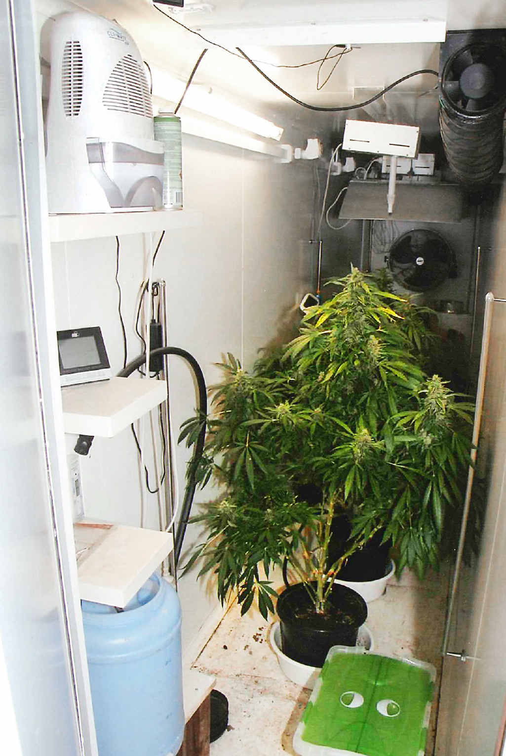 CANNABIS PRODUCTION: A sophisticated hydroponic set-up was discovered on Wesley John Figura’s property. CANNABIS PRODUCTION: A sophisticated hydroponic set-up was discovered on Wesley John Figura’s property.