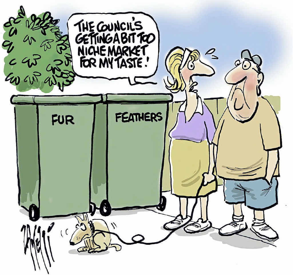 Dead pets dumped in recycling bins Northern Star