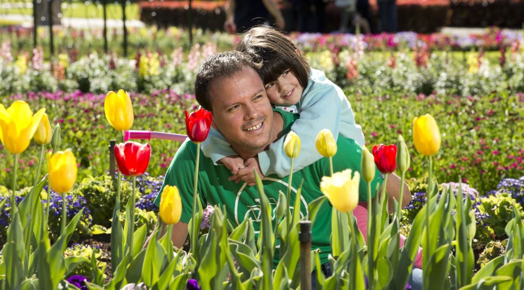 Juan and Alana Reyes 4 yo enjoy the spring flowers in Queens park. Sunday, Sep 14, 2014 . Photo Nev Madsen / The Chronicle