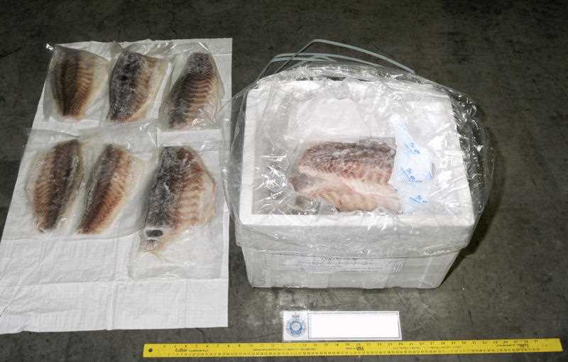 Two Canadian-Vietnamese dual citizens have been charged with smuggling heroin and methamphetamine worth 75 million Australian dollars ($68 million) hidden in a consignment of frozen fish fillets shipped from Kuala Lumpur to Sydney, officials said. Two Canadian-Vietnamese dual citizens have been charged with smuggling heroin and methamphetamine worth 75 million Australian dollars ($68 million) hidden in a consignment of frozen fish fillets shipped from Kuala Lumpur to Sydney, officials said.