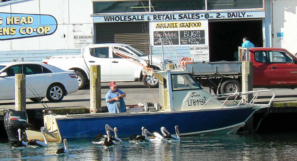 DOING WHAT HE LOVED: Missing Lismore man and Evans Head fisherman Mick Endres in his boat, Julie, at the Evans Head Co-op earlier this year. DOING WHAT HE LOVED: Missing Lismore man and Evans Head fisherman Mick Endres in his boat, Julie, at the Evans Head Co-op earlier this year.