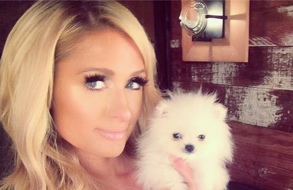 Paris Hilton with Prince Hilton (c) Instagram Paris Hilton with Prince Hilton (c) Instagram