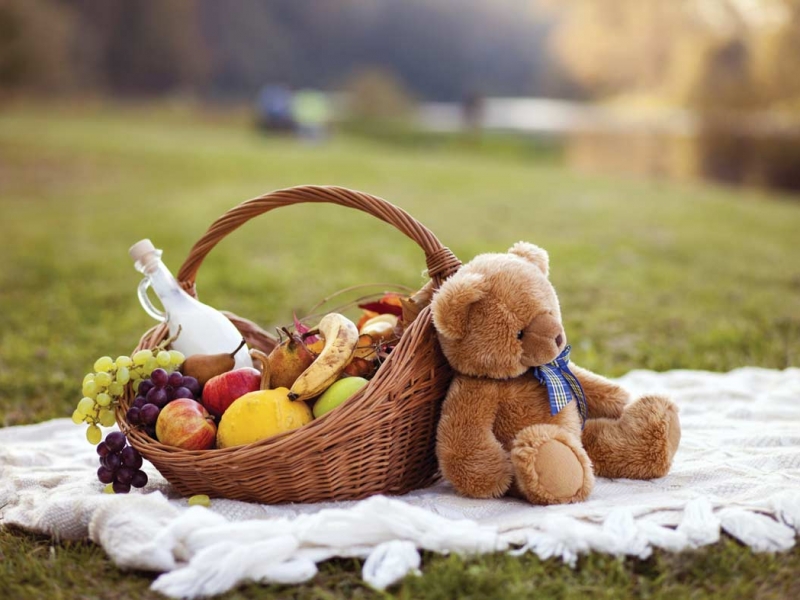 Playgroup Tasmania’s Annual Teddy Bear’s Picnic