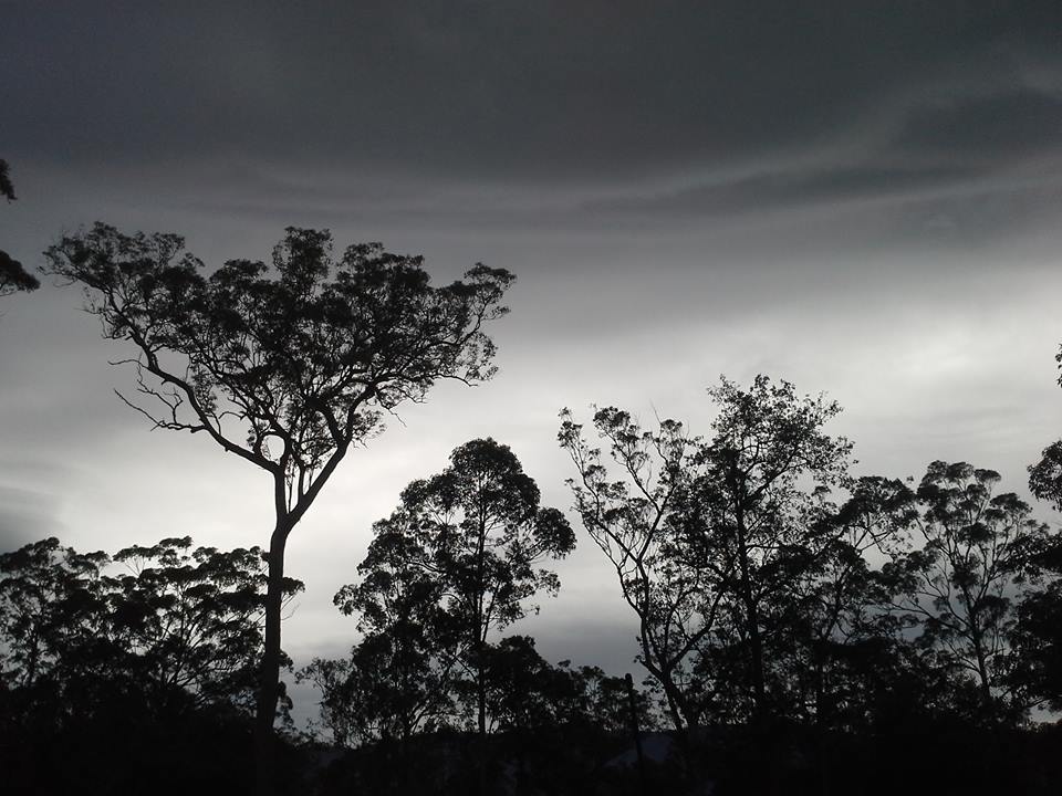 The Border Ranges disappear behind thick rain clouds. Image taken June 2014 from my home 220 metres high upon Wollumbin, Bundjalung Nation. The Border Ranges disappear behind thick rain clouds. Image taken June 2014 from my home 220 metres high upon Wollumbin, Bundjalung Nation.