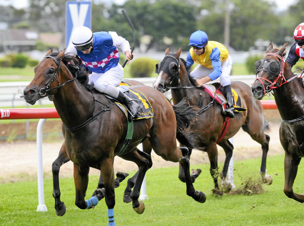 FEATURE MEETING: Curley Mac will find the company at Bowraville on Saturday less classy than it found in the Ballina Cup. FEATURE MEETING: Curley Mac will find the company at Bowraville on Saturday less classy than it found in the Ballina Cup.