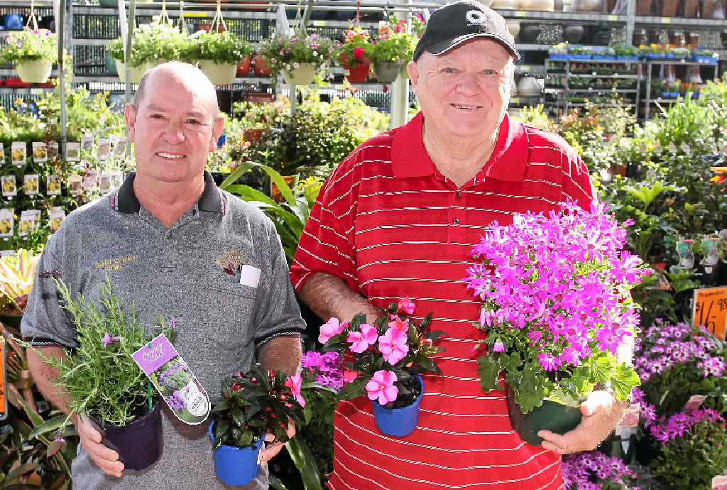 REPLANTING: Vietnam veterans Bill Shaw and Geoffrey Fallis pick out plants at Bunnings. REPLANTING: Vietnam veterans Bill Shaw and Geoffrey Fallis pick out plants at Bunnings.