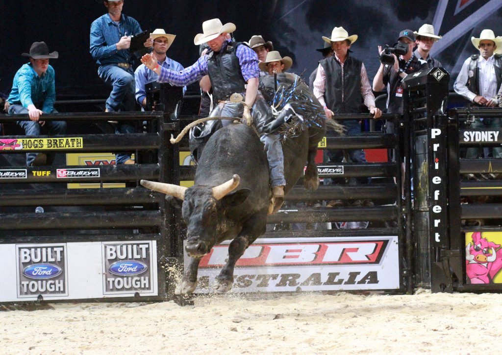Bull rider Guy Ford delivers an 84 point ride on Night Stalker during a PBR Australia event in 2013. Bull rider Guy Ford delivers an 84 point ride on Night Stalker during a PBR Australia event in 2013.