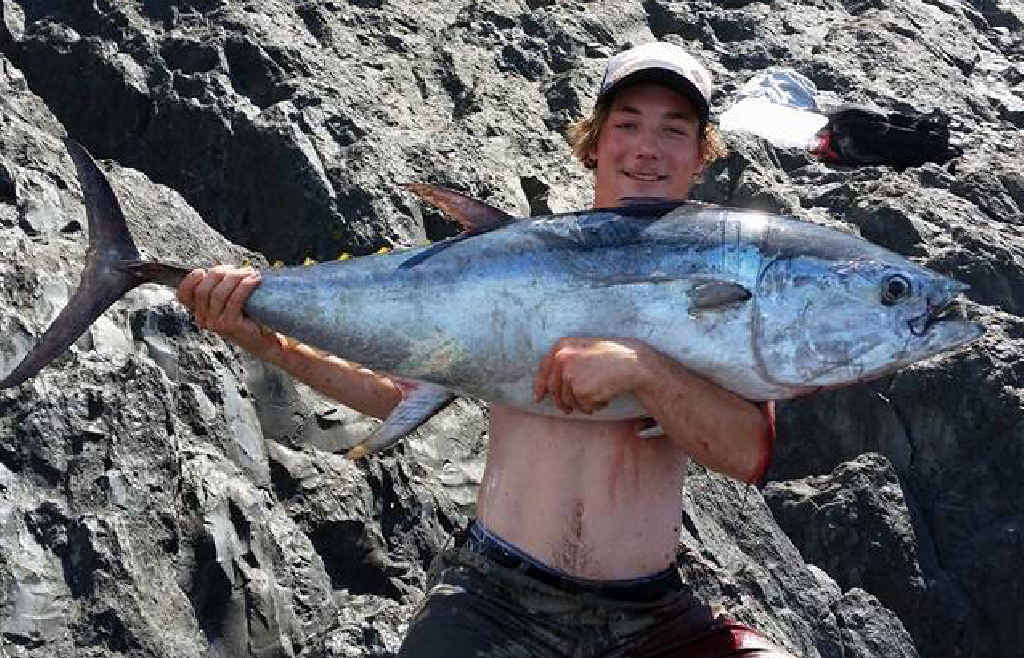 CLASSIC CATCH: Jack Boric with the 25.6kg longtail tuna he caught at Noosa on the weekend. CLASSIC CATCH: Jack Boric with the 25.6kg longtail tuna he caught at Noosa on the weekend.