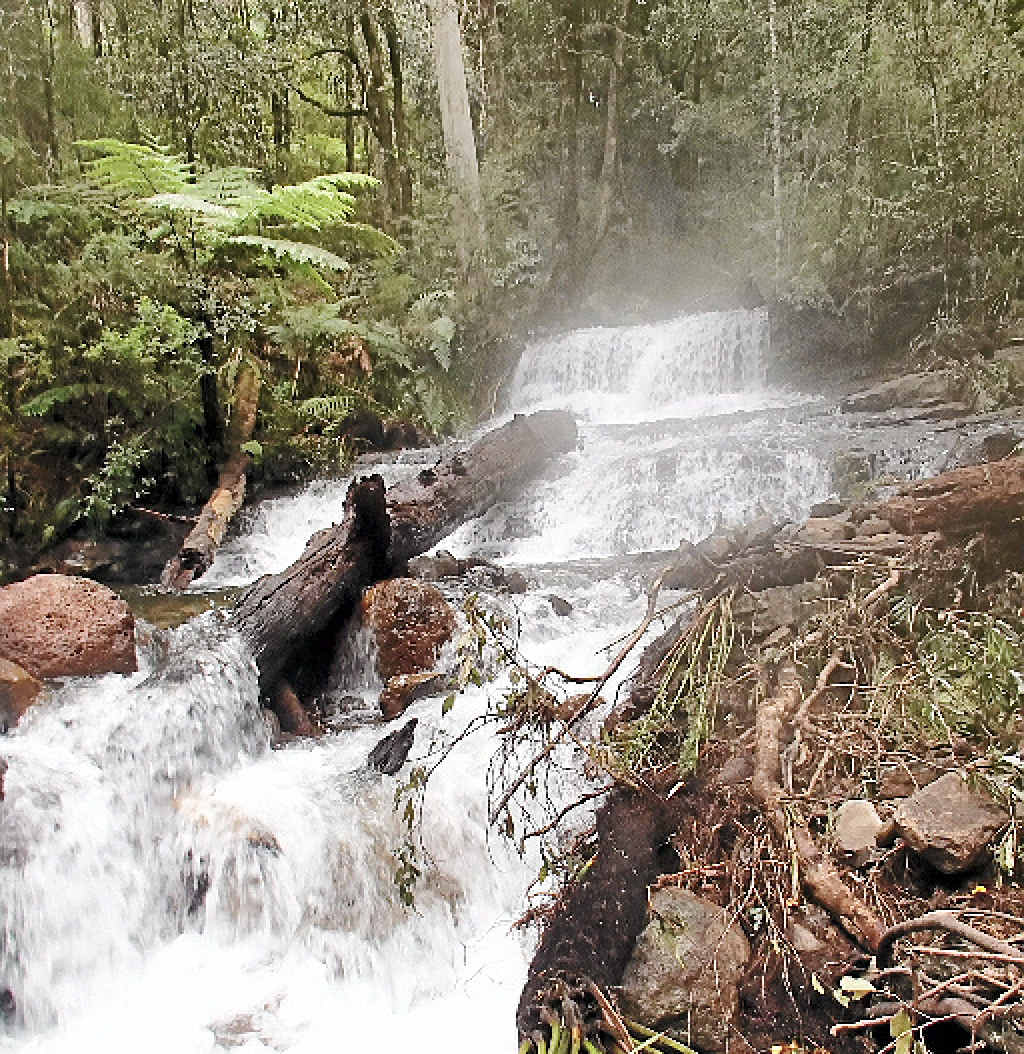 WILD WATER: A photo taken in the upper reaches of the Nymboida River. The remote terrain made it difficult to reach the body of the 60-year-old who died on Tuesday. WILD WATER: A photo taken in the upper reaches of the Nymboida River. The remote terrain made it difficult to reach the body of the 60-year-old who died on Tuesday.