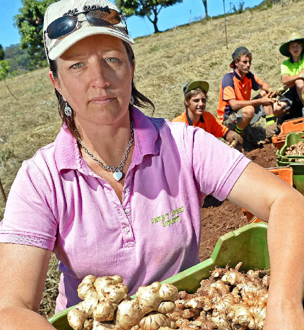 CONCERN: Jo Garrett of Jerry Creek Ginger Farm. CONCERN: Jo Garrett of Jerry Creek Ginger Farm.