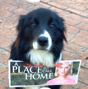 Come along and join in the fun with the Sunshine Coast members of the Save a Place to Call Home group. Dress up, or come as you are;  quizzes, 50's food and fun