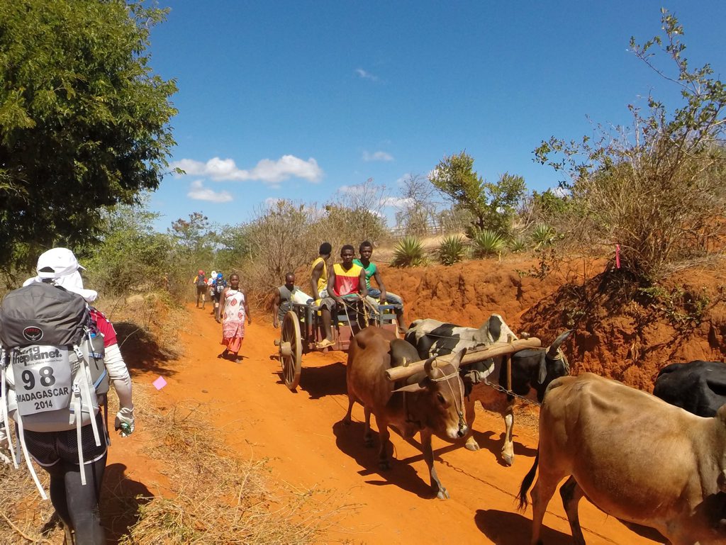 Competitors sometimes had to give way to traffic. Kevin Swanepoel - Racing The Planet Madagascar 2014. Photo Contributed Competitors sometimes had to give way to traffic. Kevin Swanepoel - Racing The Planet Madagascar 2014. Photo Contributed