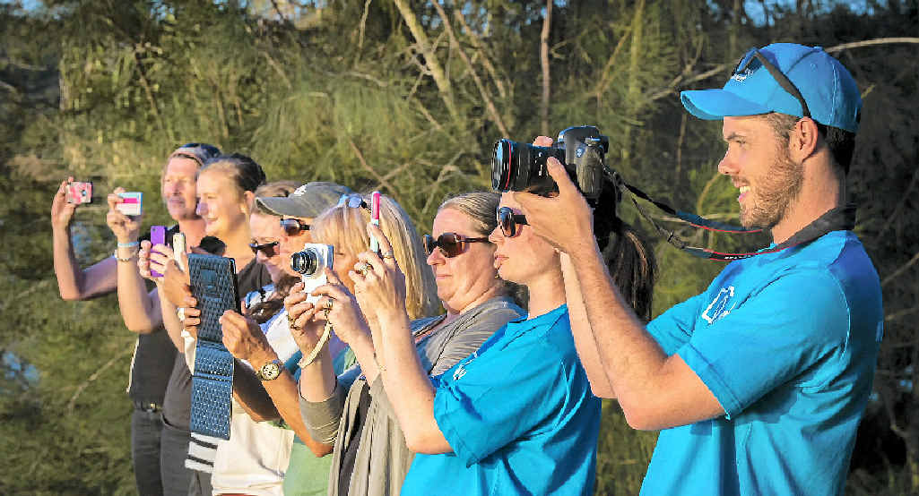 Participants work on catching the sunset from the 1770 Foreshore. Participants work on catching the sunset from the 1770 Foreshore.