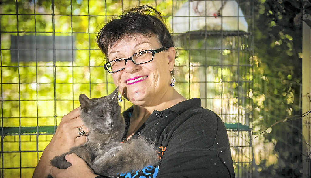 HOME NEEDED: Friends of the RSPCA member Anita Coad with a cat available for adoption. HOME NEEDED: Friends of the RSPCA member Anita Coad with a cat available for adoption.