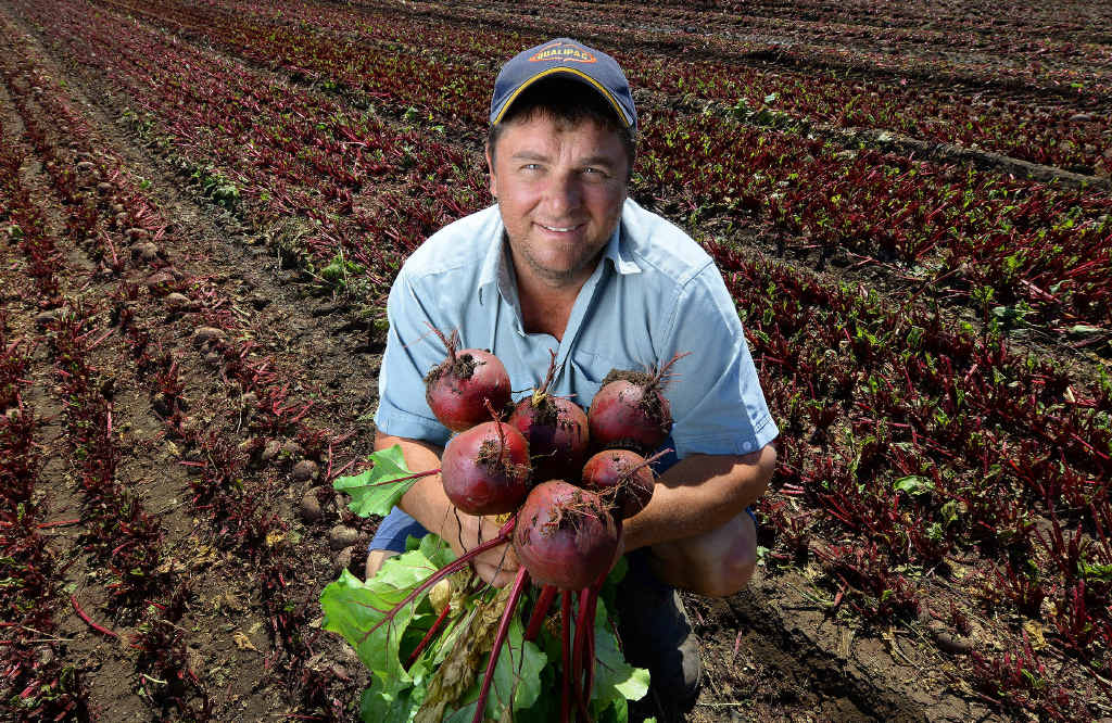 REAPING REWARDS: Troy Qualischefski from Qualipac with his first season of beetroots at his Glenore Grove farm. REAPING REWARDS: Troy Qualischefski from Qualipac with his first season of beetroots at his Glenore Grove farm.