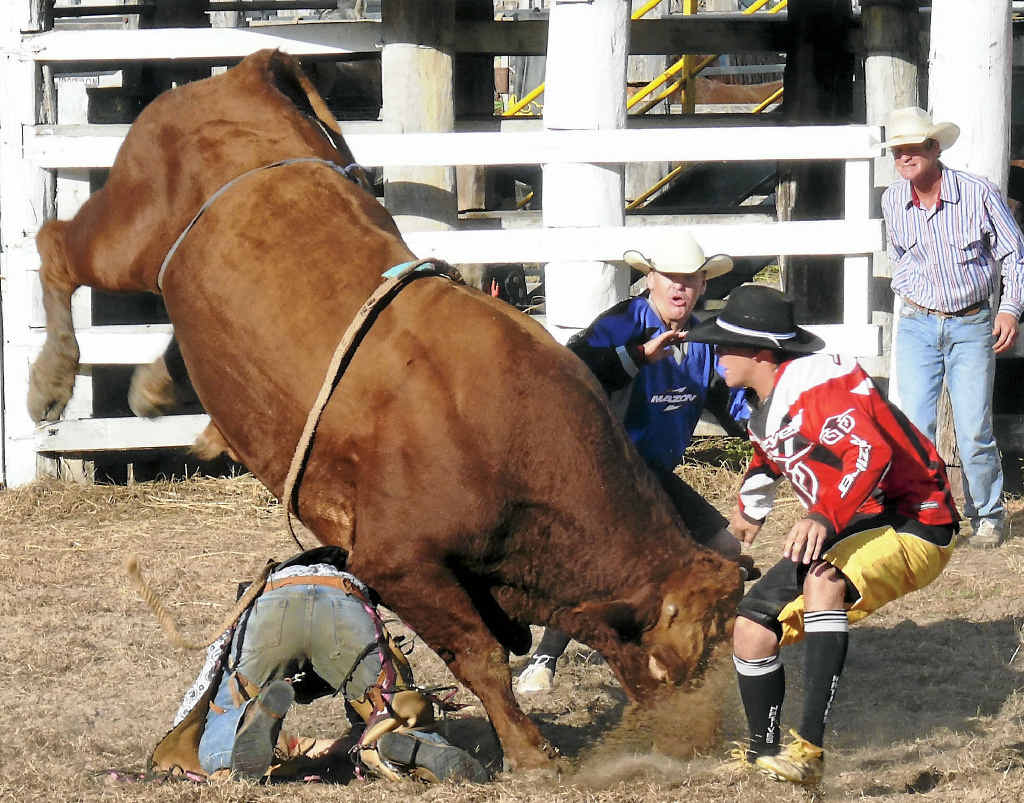 BUCKING BULLS: The action will kick off again for the Miriam Vale Rodeo this weekend. BUCKING BULLS: The action will kick off again for the Miriam Vale Rodeo this weekend.