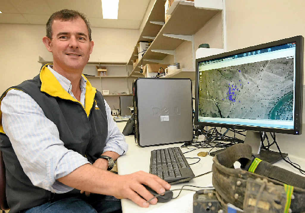 Rockhampton Professor David Swain Rockhampton Professor David Swain
