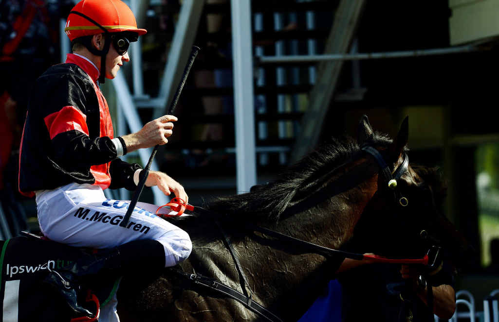 WINNING REFLECTIONS: Apprentice jockey Matt McGuren returns to the Ipswich enclosure after his win on Madame Bookworm. WINNING REFLECTIONS: Apprentice jockey Matt McGuren returns to the Ipswich enclosure after his win on Madame Bookworm.