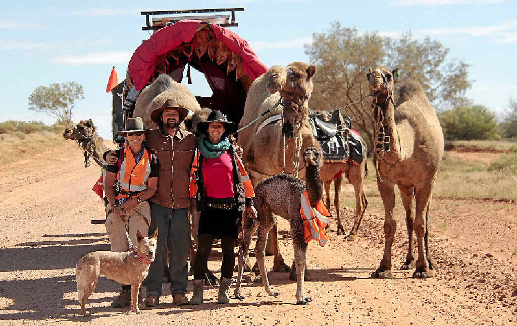 ADVENTUROUS: Angela Parr, at left with one of the camels and, above, with Kamahl, Marie-Claude, Ruby the dog and their camels at the beginning of the 60-day desert trek. ADVENTUROUS: Angela Parr, at left with one of the camels and, above, with Kamahl, Marie-Claude, Ruby the dog and their camels at the beginning of the 60-day desert trek.
