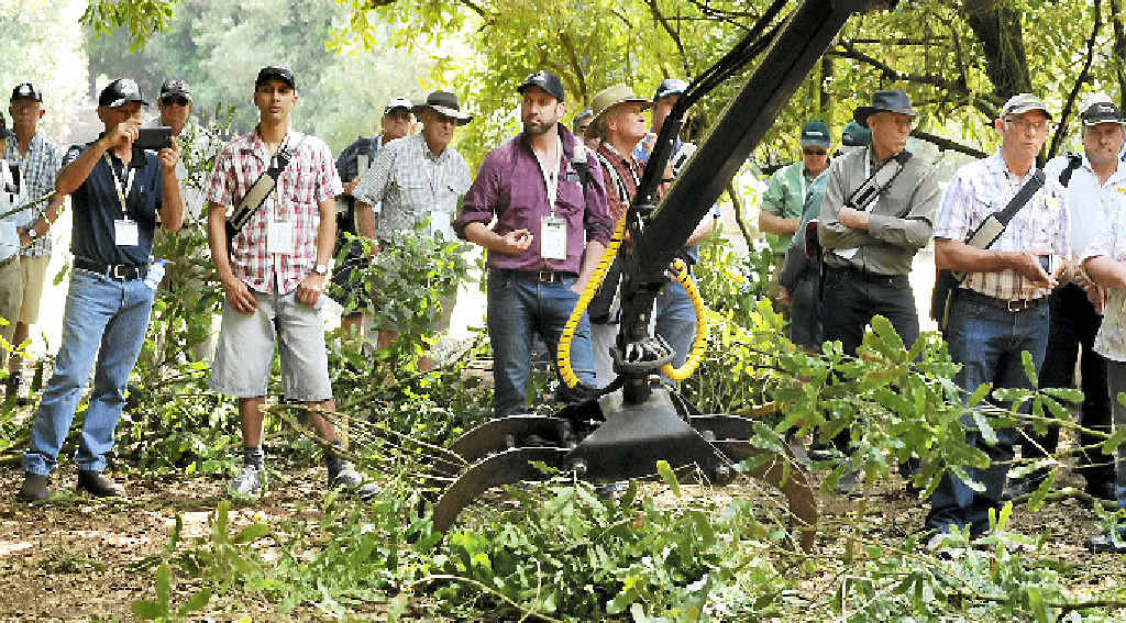 NEATLY DONE: Those attending the Australian Macadamia Society Machinery Field Day at Park Properties, Springvale Rd, Eureka watch a demonstration of pruning and chipping from S&G; Agriculture. NEATLY DONE: Those attending the Australian Macadamia Society Machinery Field Day at Park Properties, Springvale Rd, Eureka watch a demonstration of pruning and chipping from S&G; Agriculture.