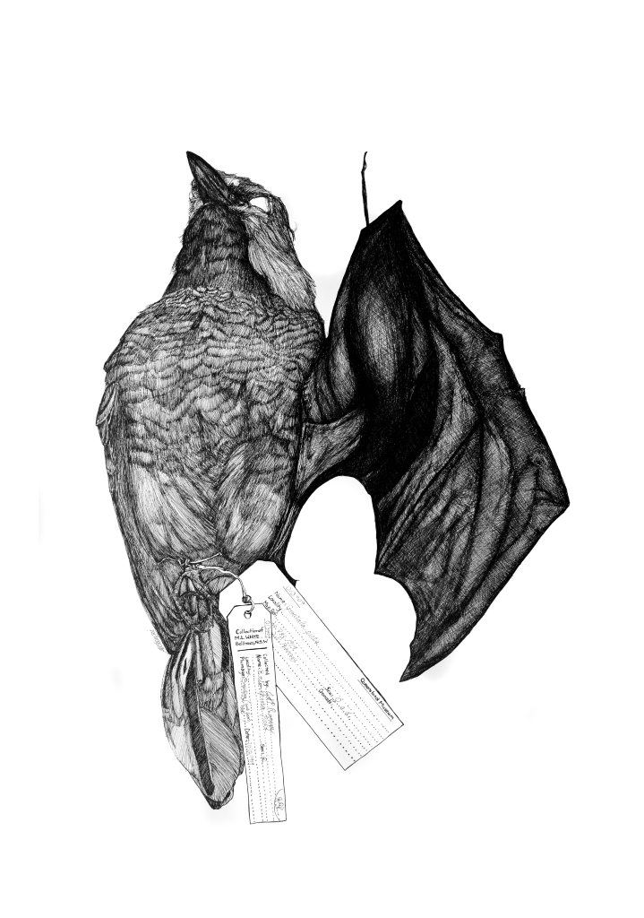 Sharon McKenzie's artwork ' Exquisite Corpse' won the prestigious Wayne Kratzmann Award. Sharon McKenzie's artwork ' Exquisite Corpse' won the prestigious Wayne Kratzmann Award.