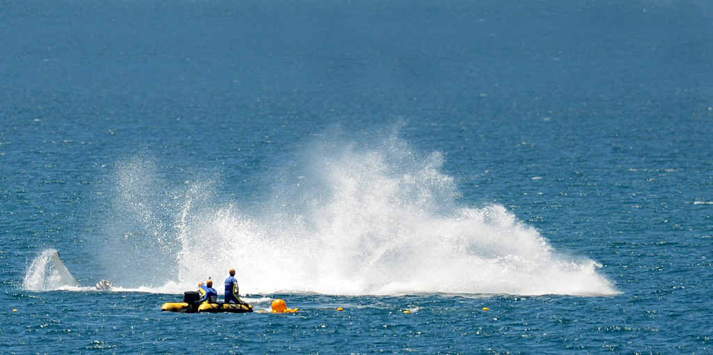 TAIL SLAP: The Queensland Boating and Fisheries Patrol marine animal release team tries to free a baby humpback from shark nets at Rainbow Beach while being splashed by the calf’s mother. TAIL SLAP: The Queensland Boating and Fisheries Patrol marine animal release team tries to free a baby humpback from shark nets at Rainbow Beach while being splashed by the calf’s mother.