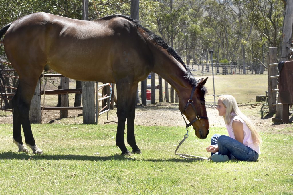 Toowoomba jockey Melody O'Brien with her retired thoroughbred gelding Professor. She knows just how dangerous her job can be. Toowoomba jockey Melody O'Brien with her retired thoroughbred gelding Professor. She knows just how dangerous her job can be.