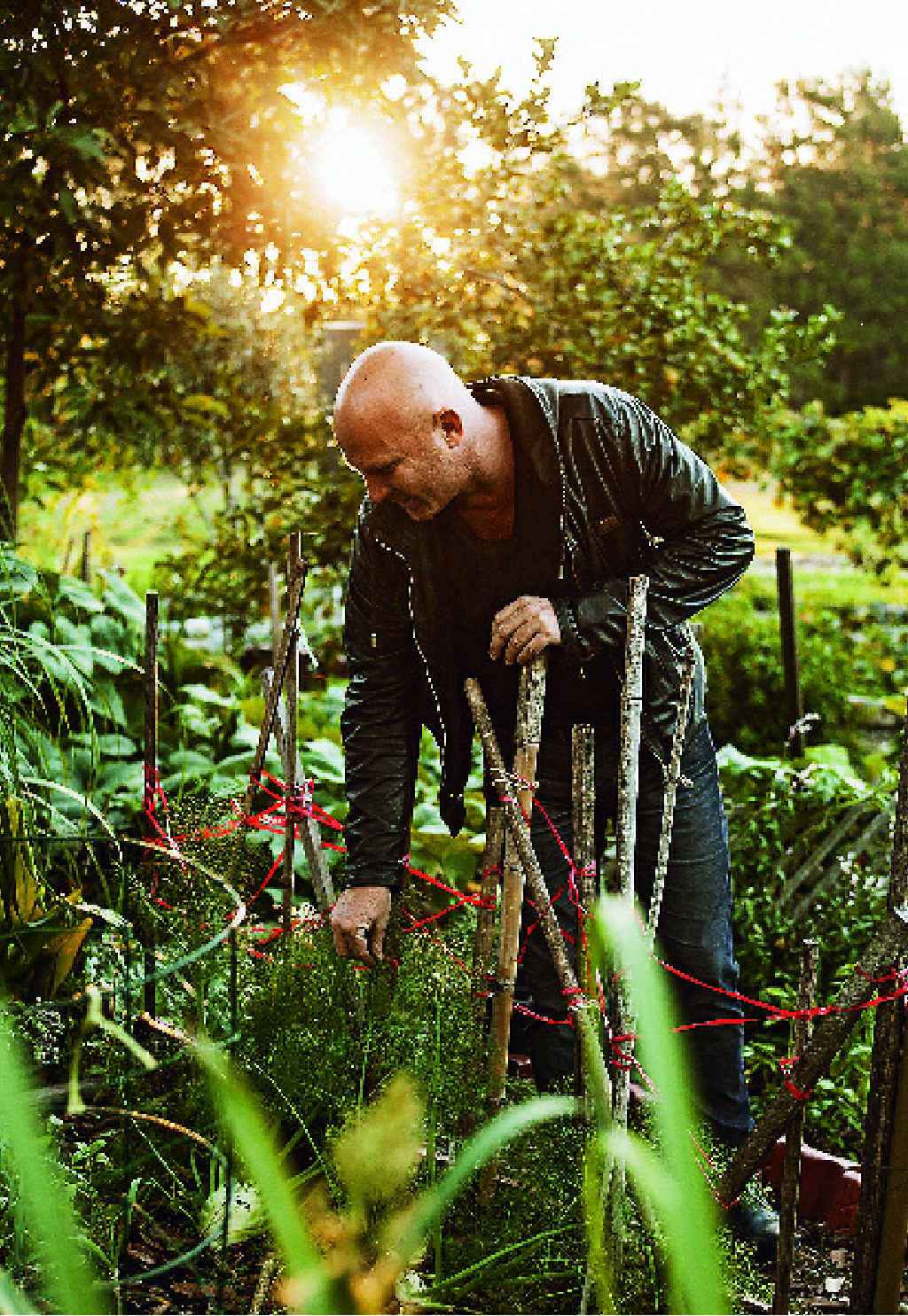Matt Moran in the garden to promote his latest book, Matt’s Kitchen Garden Cookbook. Matt Moran in the garden to promote his latest book, Matt’s Kitchen Garden Cookbook.
